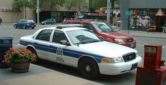 ETS Ford Peace Officer car